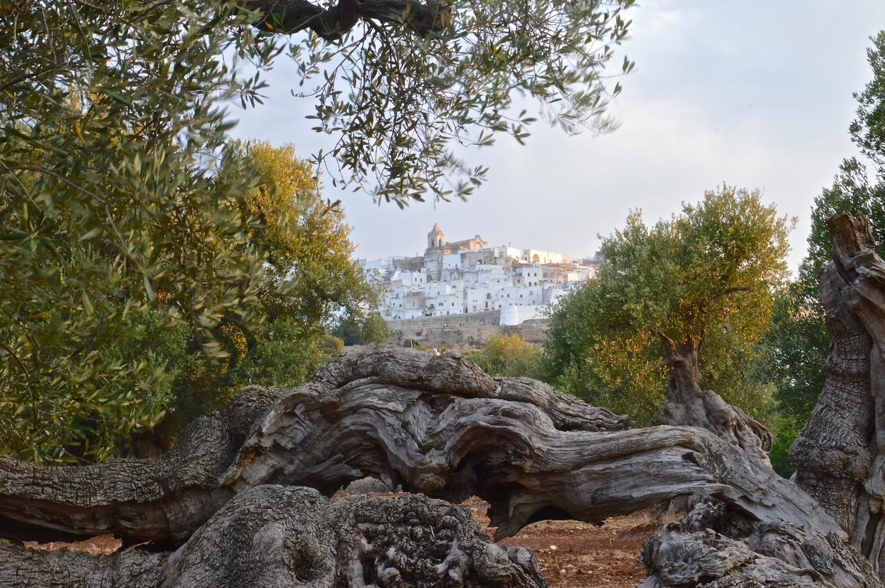 Apartament Casa Campari Ostuni Zewnętrze zdjęcie